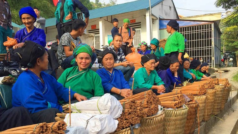 hoang-su-phi-culture